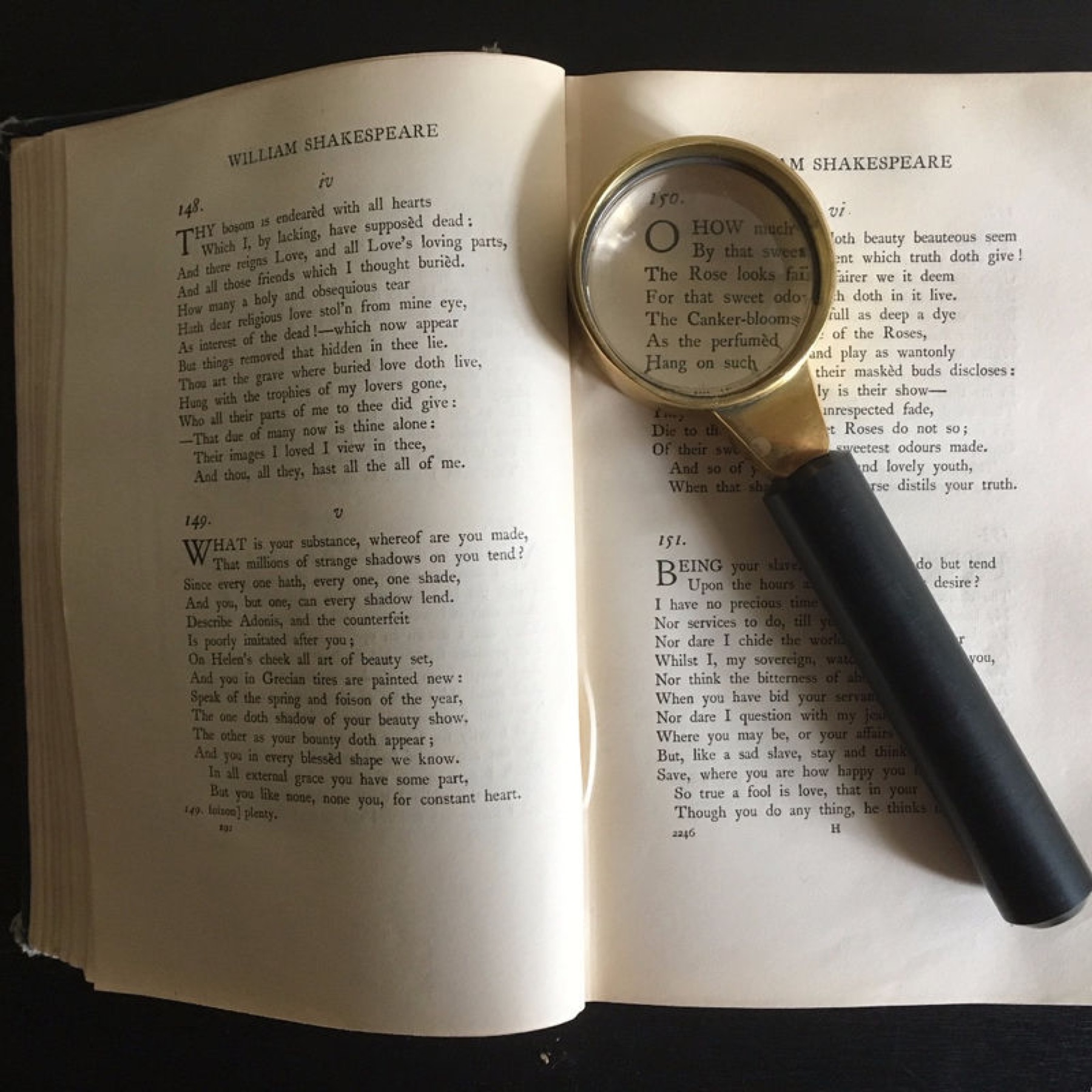 Magnifying Glass