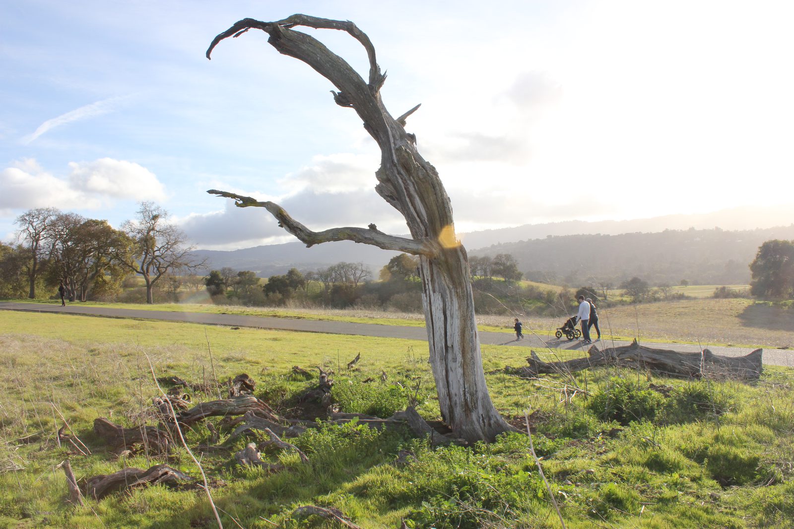 Conservation photograph by Benton Chuter